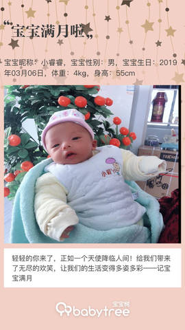 journal_insert_pic_1211148341
