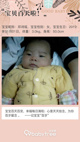 journal_insert_pic_1211620317