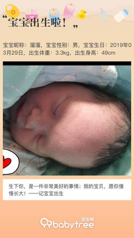 journal_insert_pic_1211823966