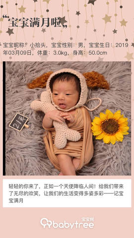 journal_insert_pic_1212255605