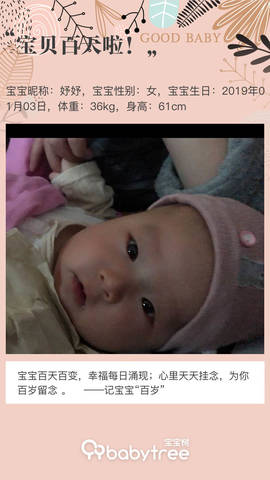 journal_insert_pic_1211843525