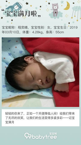 journal_insert_pic_1212913525