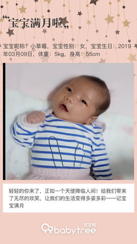 journal_insert_pic_1212820629