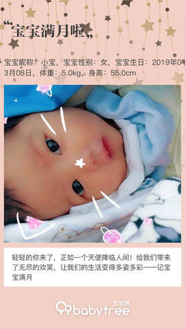 journal_insert_pic_1213499559