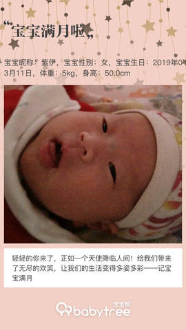journal_insert_pic_1213499665
