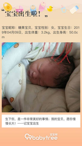 journal_insert_pic_1213375917