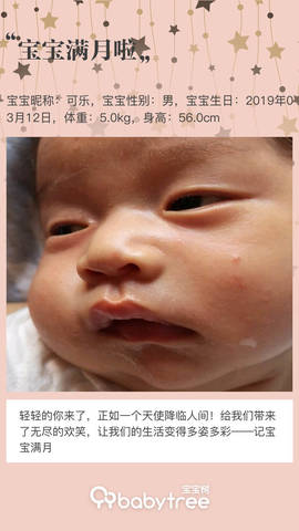 journal_insert_pic_1213271532
