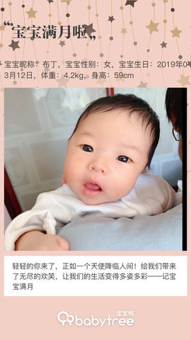 journal_insert_pic_1213909087