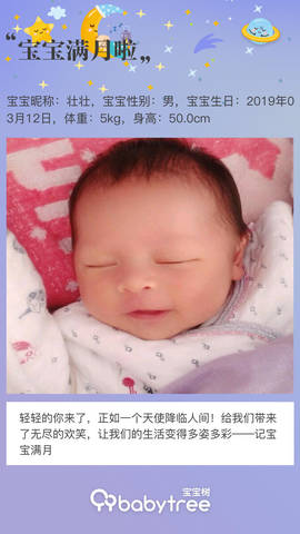 journal_insert_pic_1213882933