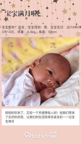 journal_insert_pic_1215332478