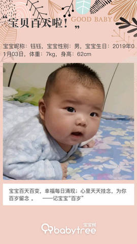 journal_insert_pic_1215740615