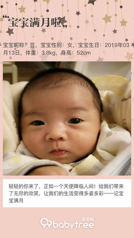 journal_insert_pic_1215955439