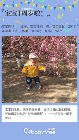 journal_insert_pic_1216086781