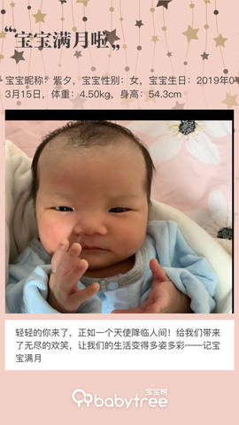 journal_insert_pic_1216570829