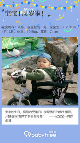 journal_insert_pic_1217013446