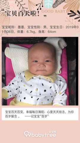 journal_insert_pic_1217469943