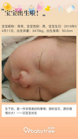 journal_insert_pic_1217688154