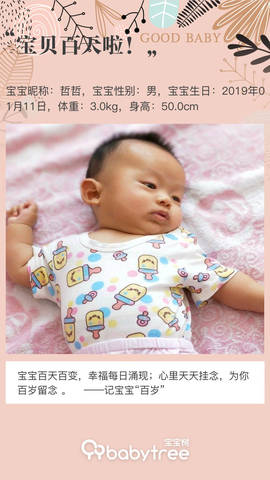 journal_insert_pic_1218205363