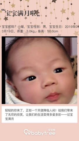 journal_insert_pic_1218207743