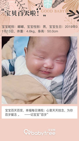 journal_insert_pic_1218789270