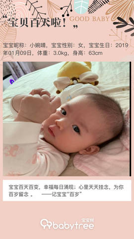 journal_insert_pic_1219242282