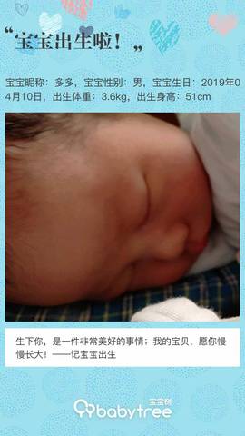 journal_insert_pic_1218776614