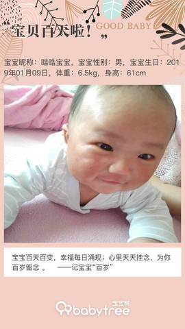journal_insert_pic_1220417632