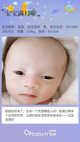 journal_insert_pic_1220555235