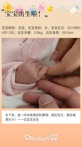 journal_insert_pic_1220944229