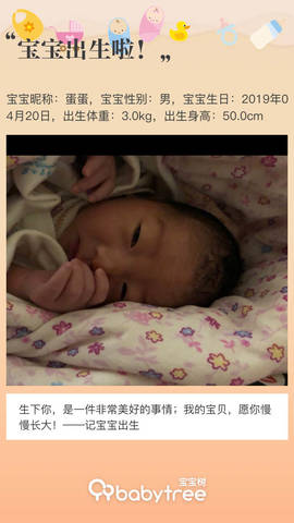 journal_insert_pic_1221645059