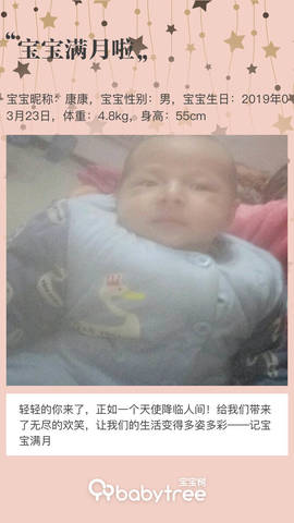journal_insert_pic_1221232745