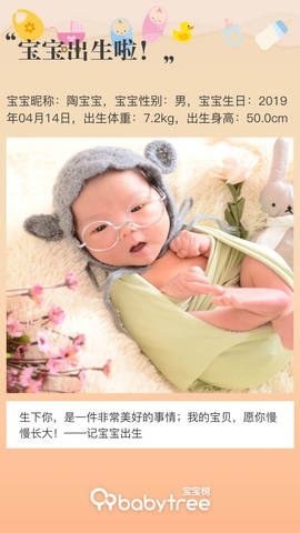 journal_insert_pic_1221386775
