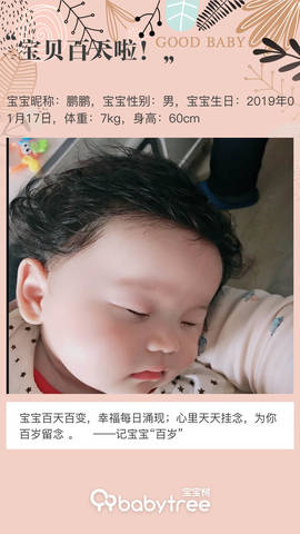 journal_insert_pic_1221916783
