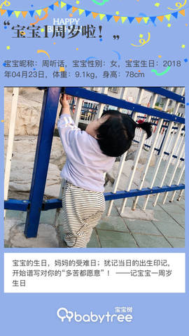 journal_insert_pic_1221967520