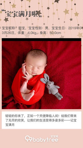 journal_insert_pic_1222273872