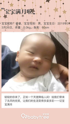 journal_insert_pic_1222856730