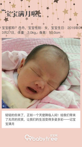 journal_insert_pic_1223207402