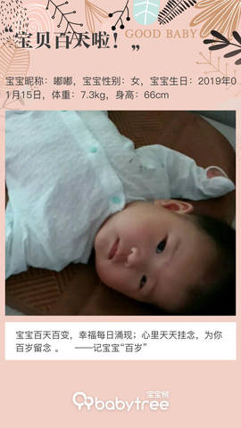 journal_insert_pic_1224059493