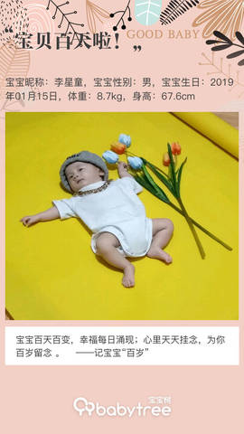 journal_insert_pic_1223846757