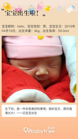 journal_insert_pic_1224541446