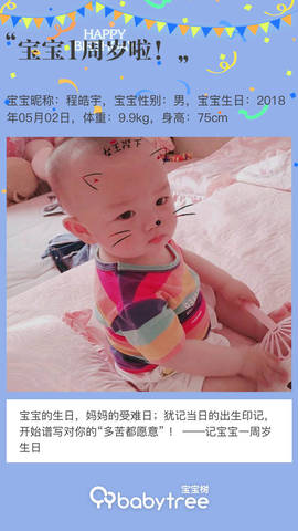 journal_insert_pic_1224431161