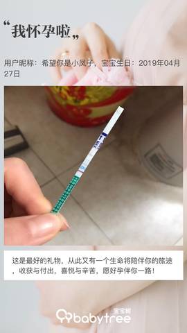 journal_insert_pic_1224499683