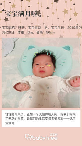 journal_insert_pic_1224513370