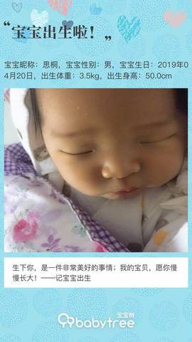 journal_insert_pic_1224849784