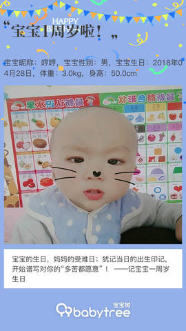journal_insert_pic_1225022298