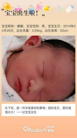 journal_insert_pic_1226213022