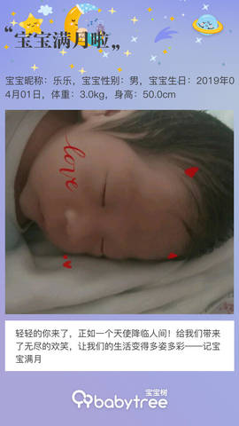 journal_insert_pic_1226305613