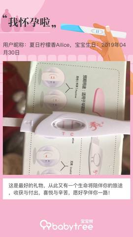 journal_insert_pic_1226229257