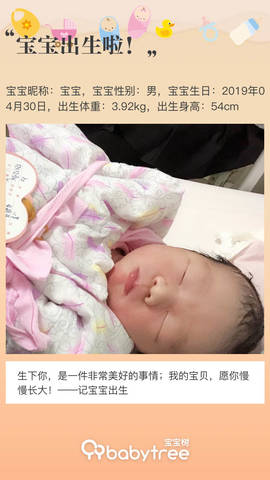 journal_insert_pic_1227460075
