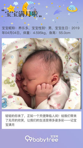 journal_insert_pic_1228105233